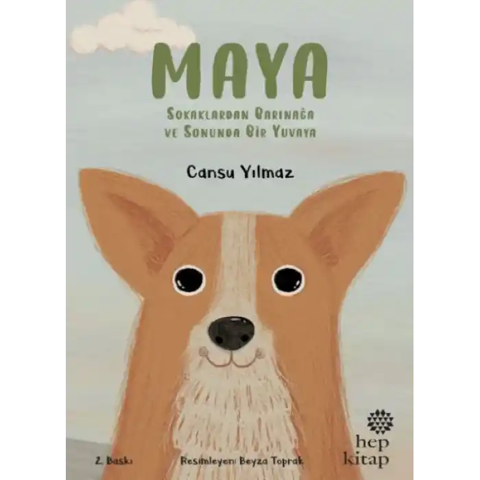 Maya - Sokaklardan Barınağa ve Sonunda Bir Yuvaya