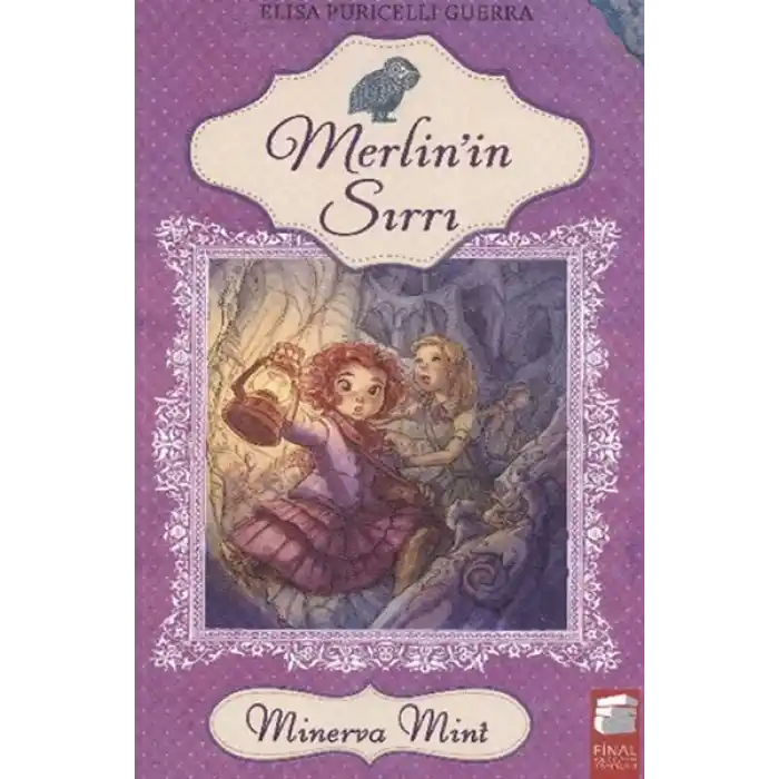 Merlinin Sırrı