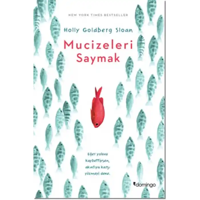 Mucizeleri Saymak