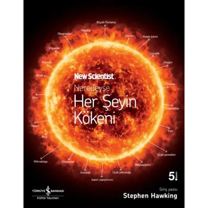 Neredeyse Her Şeyin Kökeni