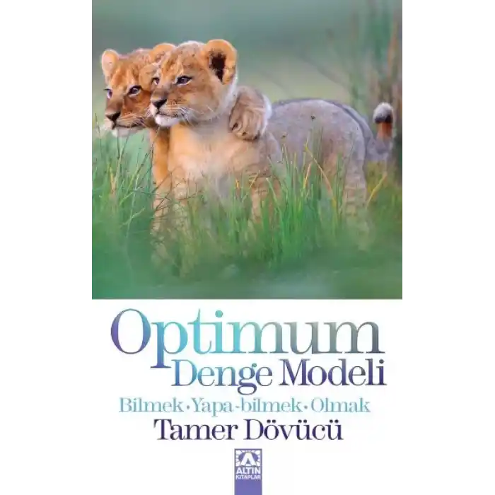 Optimum Denge Modeli
