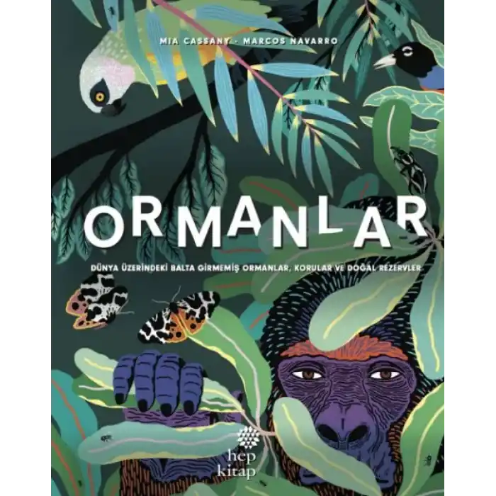 Ormanlar - Dünya  Üzerindeki Balta Girmemiş  Ormanlar, Korular ve Doğal  Rezervler