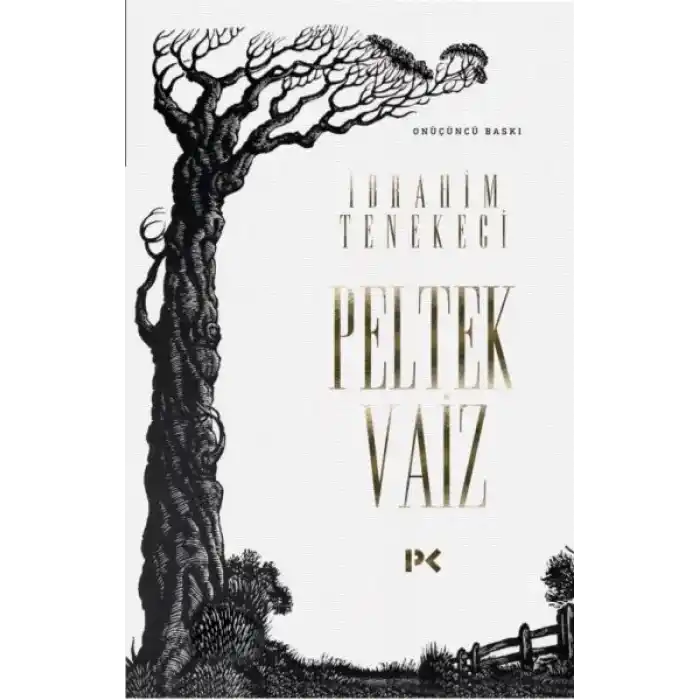 Peltek Vaiz