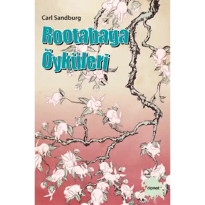 Rootabaga Öyküleri