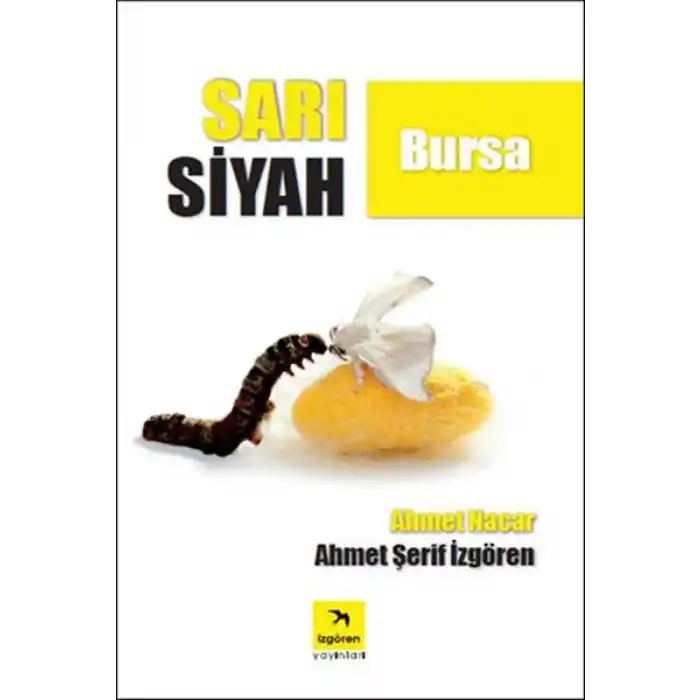 Sarı Siyah Bursa