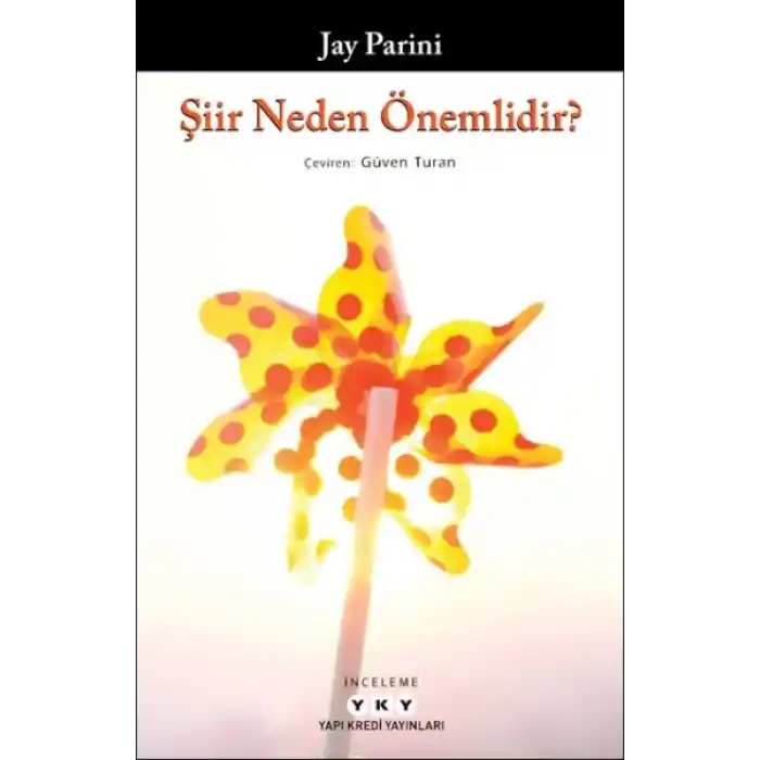 Şiir Neden Önemlidir?