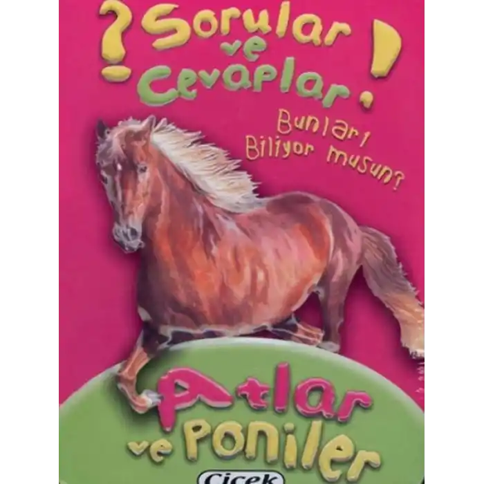 Sorular Ve Cevaplar Kart Atlar Ve Poniler