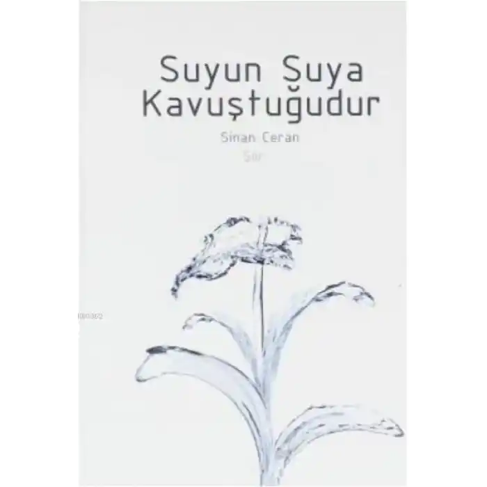 Suyun Suya Kavuştuğudur