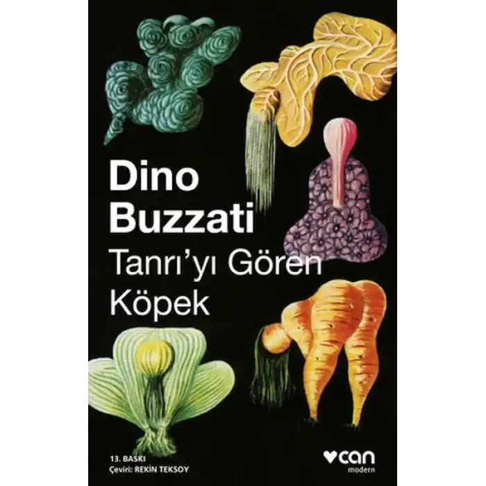 Tanrıyı Gören Köpek