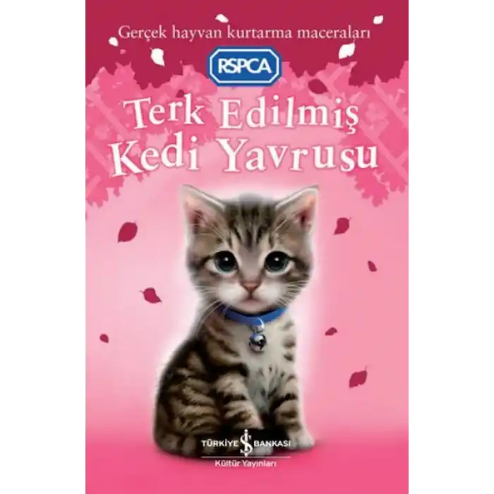 Terk Edilmiş Kedi Yavrusu