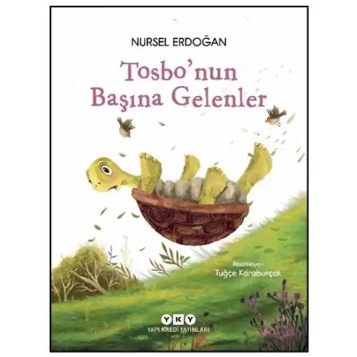 Tosbonun Başına Gelenler
