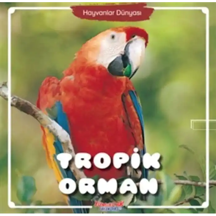 Tropik Orman - Hayvanlar Dünyası