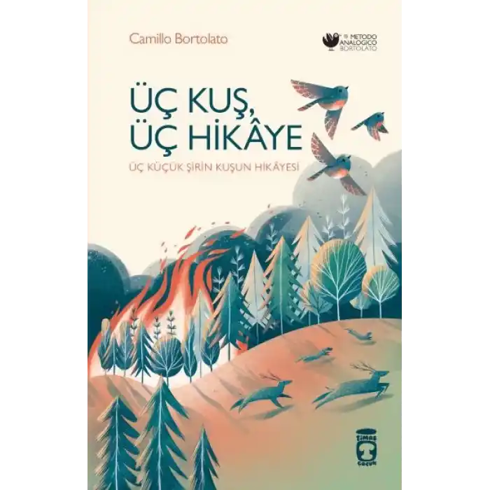 Üç Kuş, Üç Hikâye