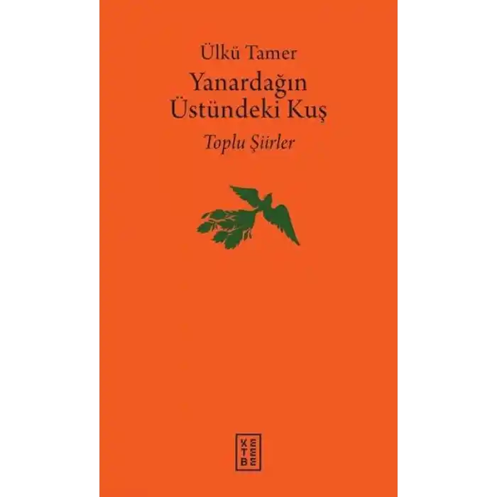 Yanardağın Üstündeki Kuş