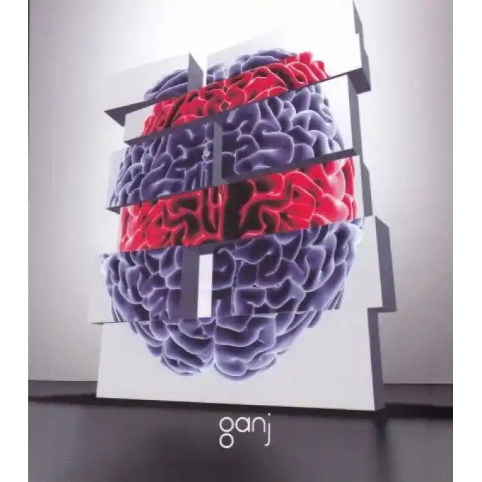 Yaşam Üzerine Yorumlamalar Cilt 2