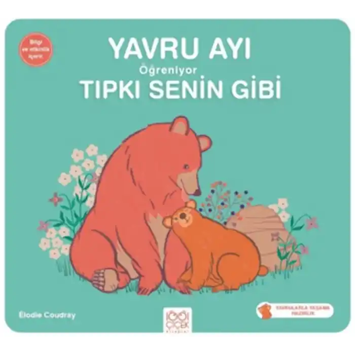 Yavru Ayı Öğreniyor Tıpkı Senin Gibi