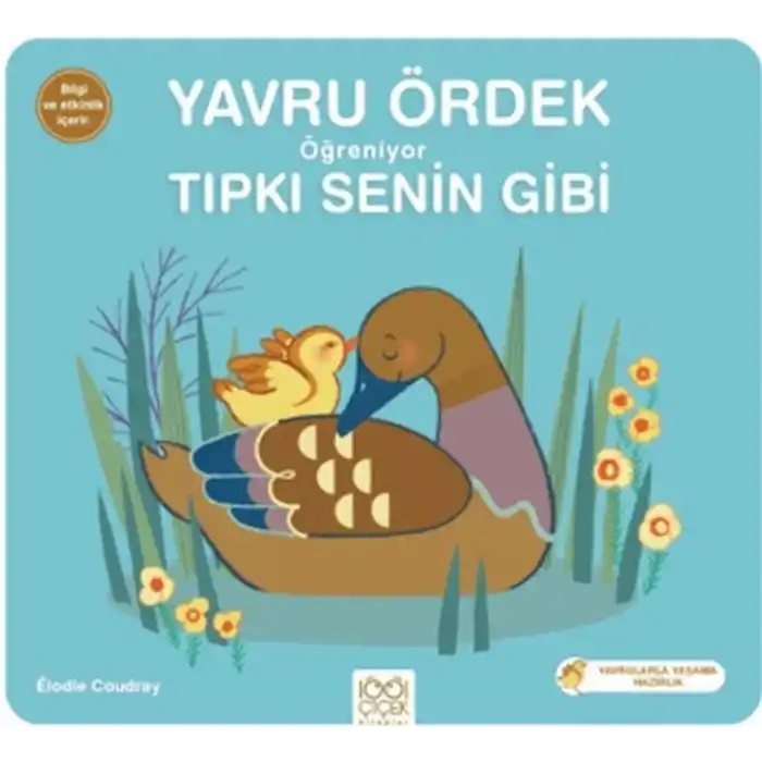 Yavru Ördek Öğreniyor Tıpkı Senin Gibi