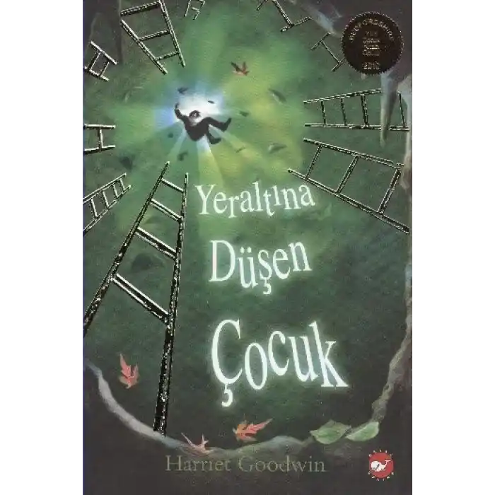 Yeraltına Düşen Çocuk