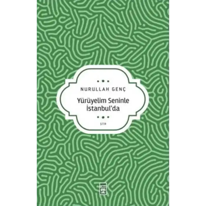 Yürüyelim Seninle İstanbul’da