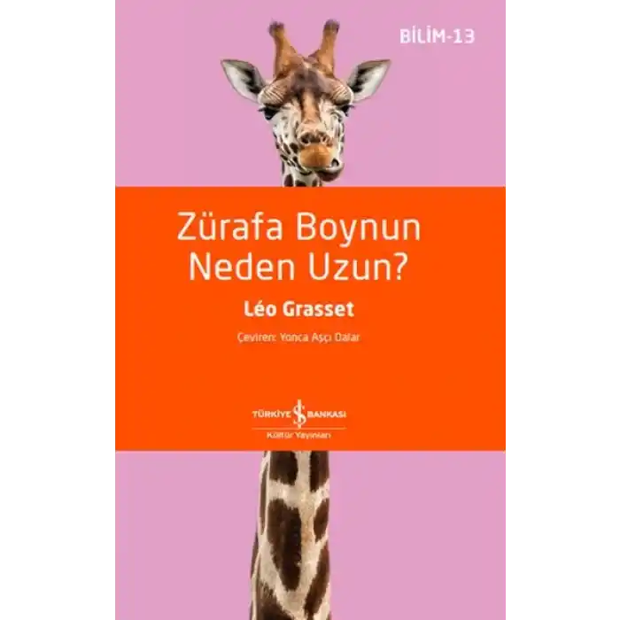 Zürafa Boynun Neden Uzun?