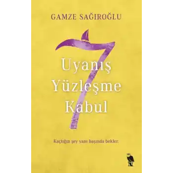 7 Uyanış Yüzleşme Kabul