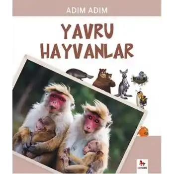Adım Adım - Yavru Hayvanlar