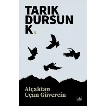 Alçaktan Uçan Güvercin