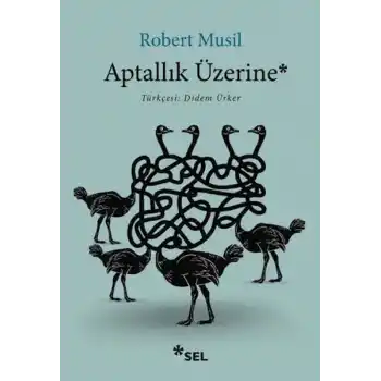 Aptallık Üzerine