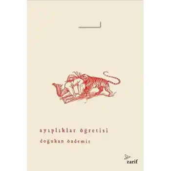 Ayıplıklar Öğretisi