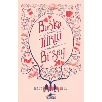 Başka Türlü Bişey