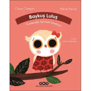 Baykuş Luluş Yuvasından Ayrılmak İstemiyor