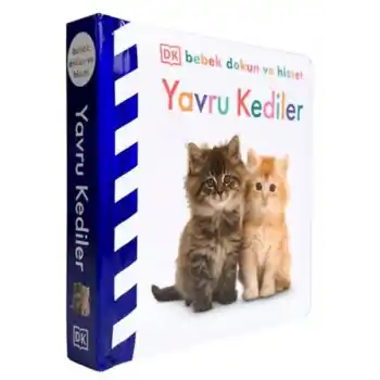 Bebek Dokun Ve Hisset - Yavru Kediler