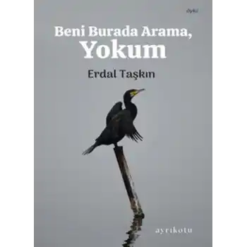 Beni Burada Arama, Yokum