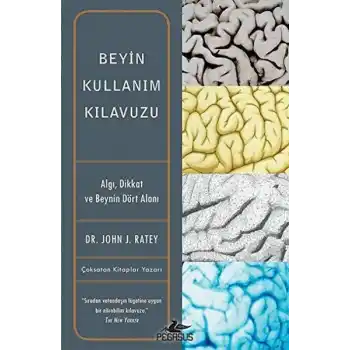 Beyin Kullanım Kılavuzu