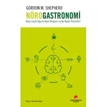 Beyin Lezzet Algısını Nasıl Oluşturur ve Bu Neden Önemlidir?