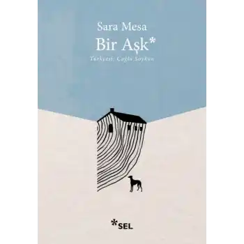 Bir Aşk