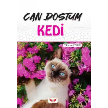 Can Dostum Kedi