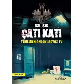 Çatı Katı