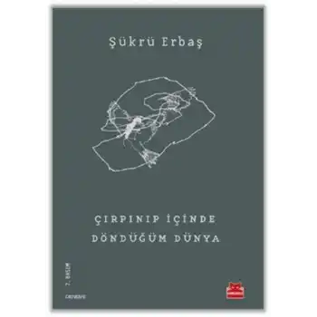 Çırpınıp İçinde Döndüğüm Dünya
