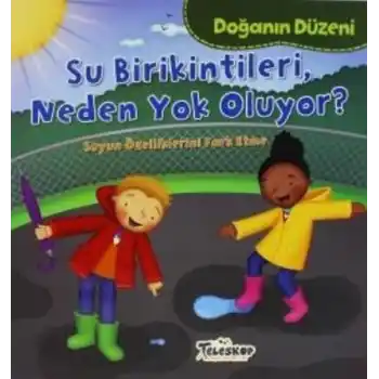 Doğanın Düzeni Su Birikintileri Neden Yok Oluyor?
