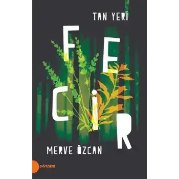 Fecir - Tan Yeri 2
