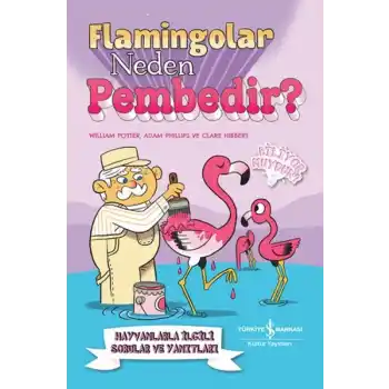 Flamingolar Neden Pembedir?