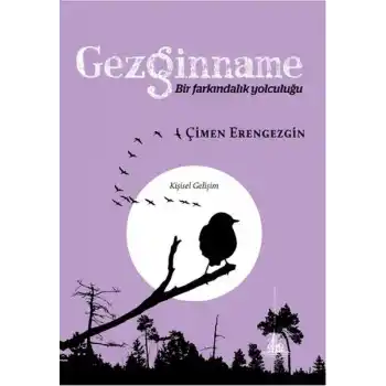 Gezginname - Bir Farkındalık Yolculuğu