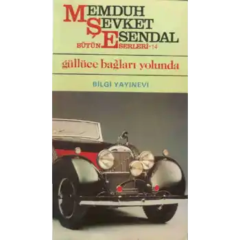 Güllüce Bağları Yolunda