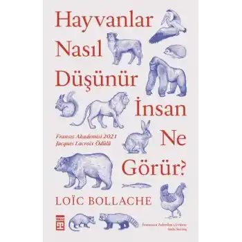 Hayvanlar Nasıl Düşünür İnsanlar Ne Görür?