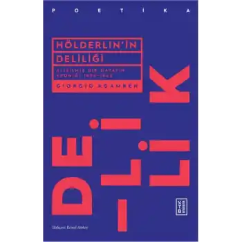 Hölderlinin Deliliği