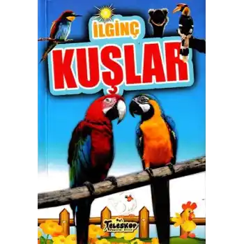 İlginç Kuşlar - İlginç Bilgiler Serisi