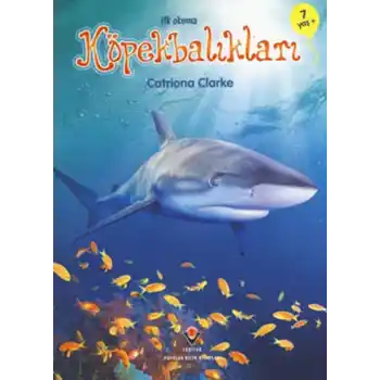 İlk Okuma - Köpekbalıkları