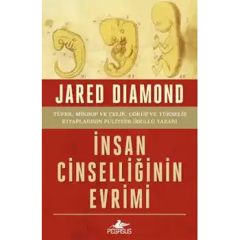 İnsan Cinselliğinin Evrimi - Ciltsiz