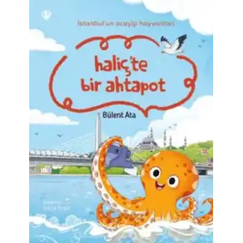 İstanbulun Acayip Hayvanları Haliçte Bir Ahtapot